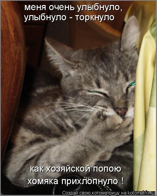 меня очень улыбнуло, улыбнуло - торкнуло как хозяйской попою хомяка прихлопнуло !... Котоматрица: меня очень улыбнуло, улыбнуло - торкнуло как хозяйской попою хомяка прихлопнуло !