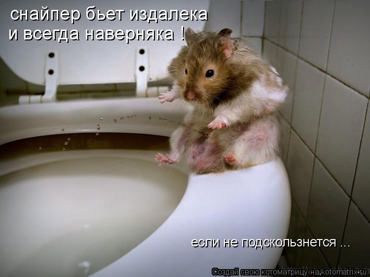 снайпер бьет издалека и всегда наверняка ! если не подскользнется ...... Котоматрица: снайпер бьет издалека и всегда наверняка ! если не подскользнется ...