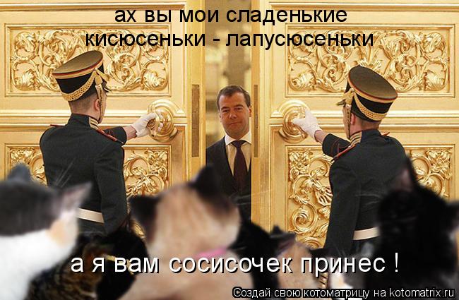 ах вы мои сладенькие кисюсеньки - лапусюсеньки а я вам сосисочек принес !... Котоматрица: ах вы мои сладенькие кисюсеньки - лапусюсеньки а я вам сосисочек принес !