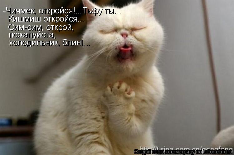 -Чичмек, откройся!...Тьфу ты... Кишмиш откройся... Сим-сим, открой, пожалуйста, холодильник, блин!..... Котоматрица: -Чичмек, откройся!...Тьфу ты... Кишмиш откройся... Сим-сим, открой, пожалуйста, холодильник, блин!...