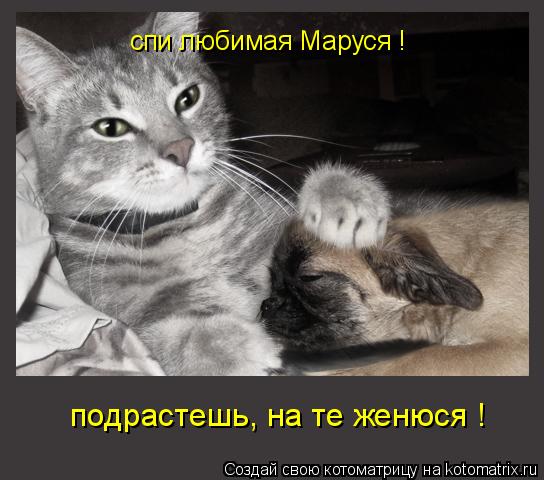 спи любимая Маруся ! подрастешь, на те женюся !... Котоматрица: спи любимая Маруся ! подрастешь, на те женюся !