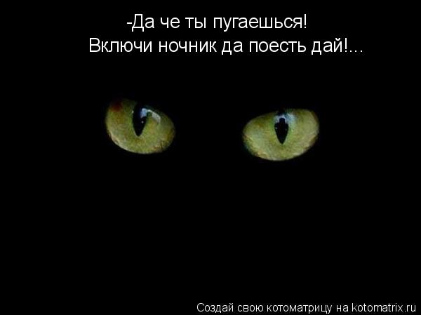 -Да че ты пугаешься! Включи ночник да поесть дай!...... Котоматрица: -Да че ты пугаешься! Включи ночник да поесть дай!...