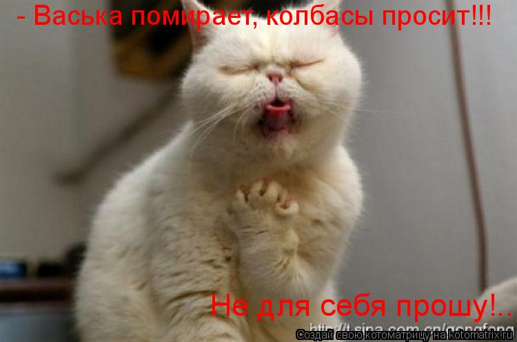 - Васька помирает, колбасы просит!!! Не для себя прошу!..... Котоматрица: - Васька помирает, колбасы просит!!! Не для себя прошу!..