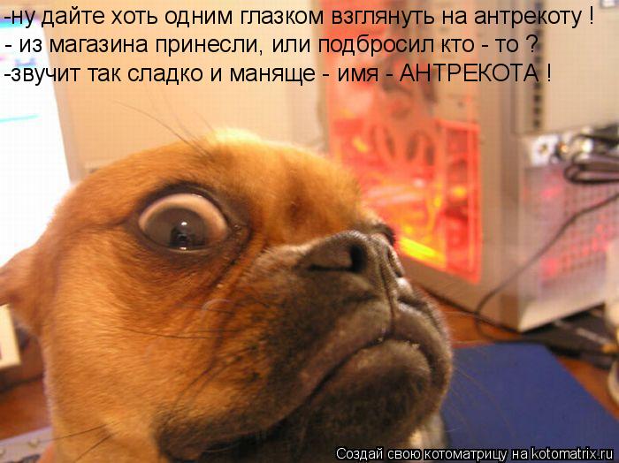 -ну дайте хоть одним глазком взглянуть на антрекоту ! - из магазина принесли, или подбросил кто - то ... Котоматрица: -ну дайте хоть одним глазком взглянуть на антрекоту ! - из магазина принесли, или подбросил кто - то ? -звучит так сладко и маняще - имя - АНТРЕК