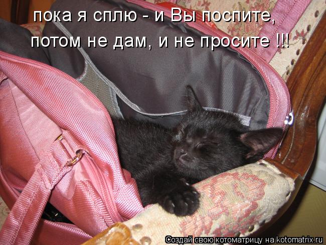 пока я сплю - и Вы поспите, потом не дам, и не просите !!!... Котоматрица: пока я сплю - и Вы поспите, потом не дам, и не просите !!!