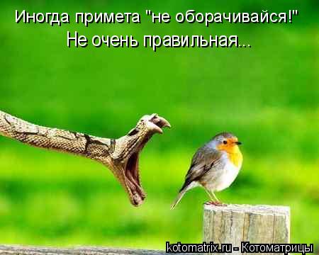 Иногда примета "не оборачивайся!" Не очень правильная...... Котоматрица: Иногда примета "не оборачивайся!" Не очень правильная...