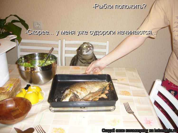 -Рыбки положить? -Скорее... у меня уже судороги начинаются...... Котоматрица: -Рыбки положить? -Скорее... у меня уже судороги начинаются...
