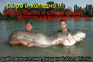-Сыро и холодно !!! -Надо было с обезьянкой фотографироваться !!!... Котоматрица: -Сыро и холодно !!! -Надо было с обезьянкой фотографироваться !!!