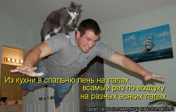 Из кухни в спальню лень на лапах, всамый раз по воздуху на разных всяких папах....... Котоматрица: Из кухни в спальню лень на лапах, всамый раз по воздуху на разных всяких папах....