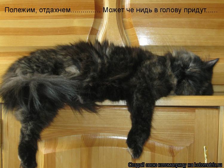 Полежим, отдахнем............... Может че нидь в голову придут......... Котоматрица: Полежим, отдахнем............... Может че нидь в голову придут......