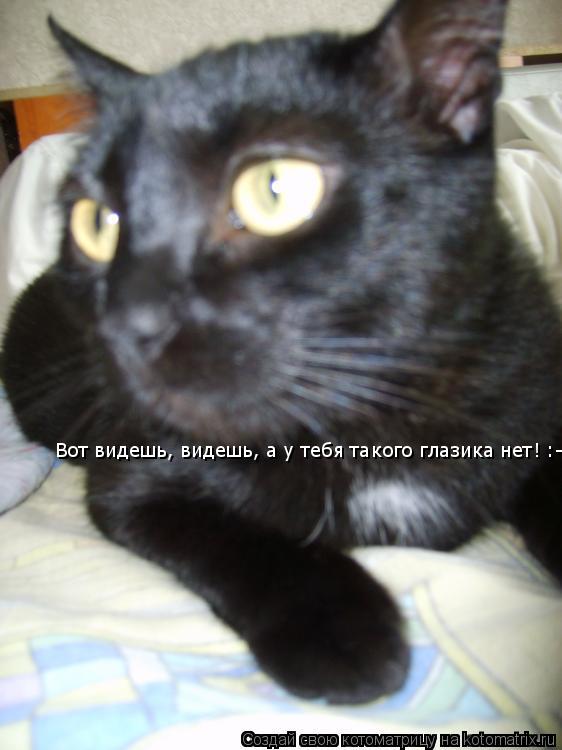 Вот видешь, видешь, а у тебя такого глазика нет! :-Р... Котоматрица: Вот видешь, видешь, а у тебя такого глазика нет! :-Р