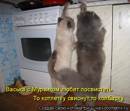 Васька с Мурзиком любят посвистеть. То котлетку свиснут,то колбаску.... Котоматрица: Васька с Мурзиком любят посвистеть. То котлетку свиснут,то колбаску.