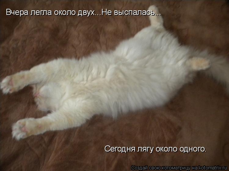 Вчера легла около двух...Не выспалась... Сегодня лягу около одного.... Котоматрица: Вчера легла около двух...Не выспалась... Сегодня лягу около одного.
