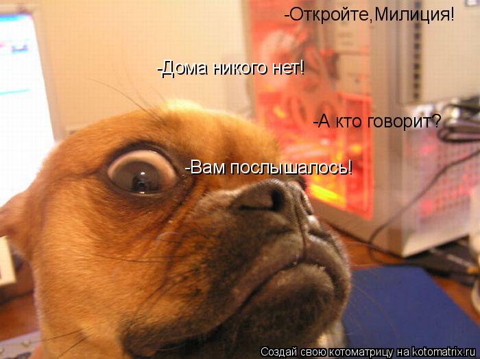 -Откройте,Милиция! -Дома никого нет! -А кто говорит? -Вам послышалось!... Котоматрица: -Откройте,Милиция! -Дома никого нет! -А кто говорит? -Вам послышалось!
