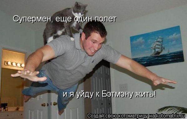Супермен, еще один полет и я уйду к Бэтмэну жить!... Котоматрица: Супермен, еще один полет и я уйду к Бэтмэну жить!