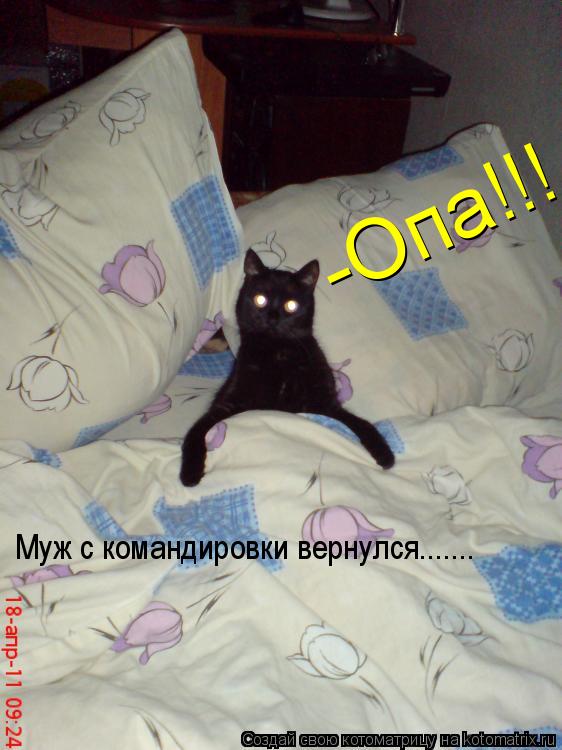 Муж с командировки вернулся....... -Опа!!!... Котоматрица: Муж с командировки вернулся....... -Опа!!!