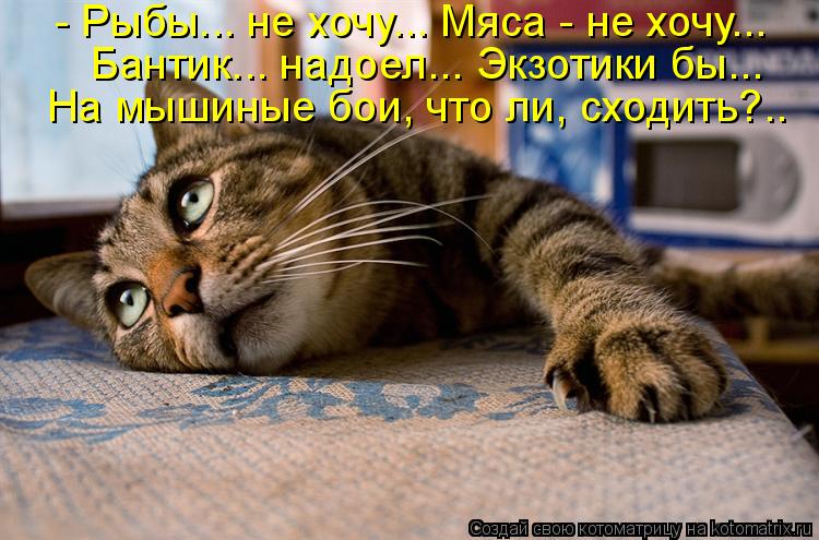 - Рыбы... не хочу... Мяса - не хочу... На мышиные бои, что ли, сходить?.. Бантик... надоел... Экзотик... Котоматрица: - Рыбы... не хочу... Мяса - не хочу... На мышиные бои, что ли, сходить?.. Бантик... надоел... Экзотики бы...