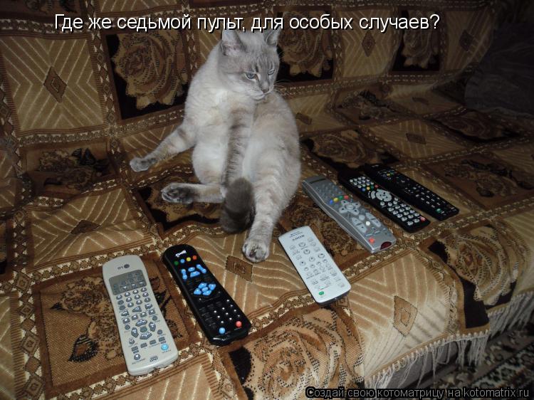 Где же седьмой пульт, для особых случаев?... Котоматрица: Где же седьмой пульт, для особых случаев?