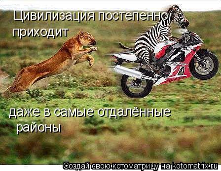 Цивилизация постепенно приходит даже в самые отдалённые районы... Котоматрица: Цивилизация постепенно приходит даже в самые отдалённые районы
