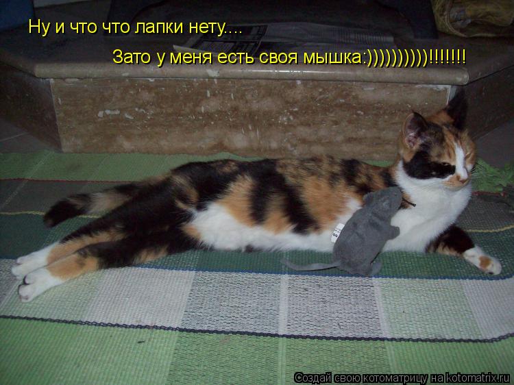 Ну и что что лапки нету.... Зато у меня есть своя мышка:))))))))))!!!!!!!... Котоматрица: Ну и что что лапки нету.... Зато у меня есть своя мышка:))))))))))!!!!!!!