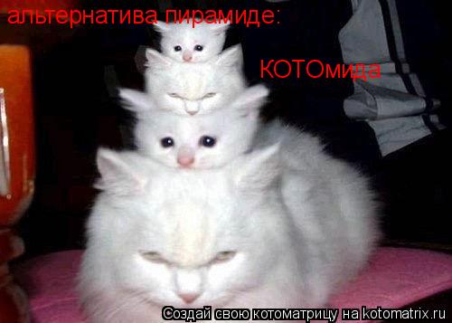 альтернатива пирамиде: КОТОмида... Котоматрица: альтернатива пирамиде: КОТОмида