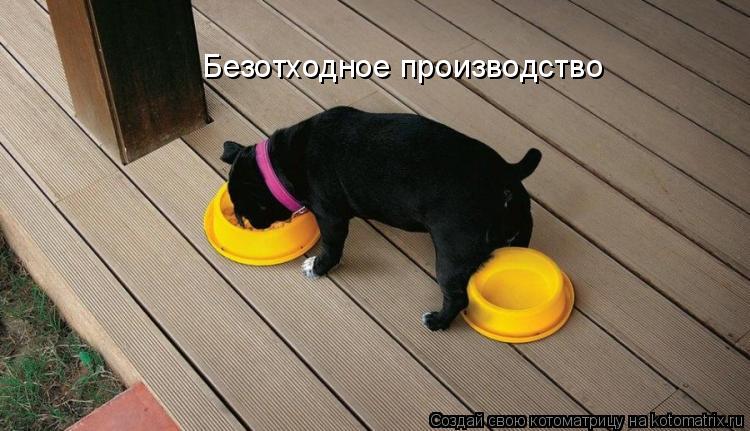 Безотходное производство... Котоматрица: Безотходное производство