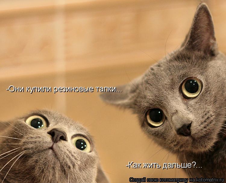 -Они купили резиновые тапки... -Как жить дальше?...... Котоматрица: -Они купили резиновые тапки... -Как жить дальше?...