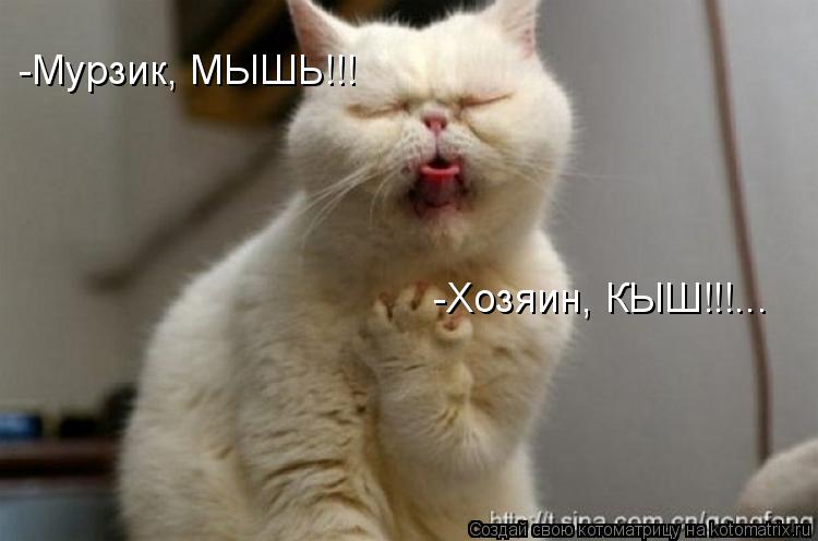 -Мурзик, МЫШЬ!!! -Хозяин, КЫШ!!!...... Котоматрица: -Мурзик, МЫШЬ!!! -Хозяин, КЫШ!!!...