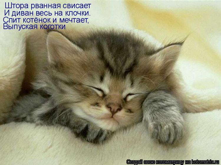 Котоматрица: Штора рванная свисает  И диван весь на клочки.  Спит котёнок и мечтает, Выпуская коготки