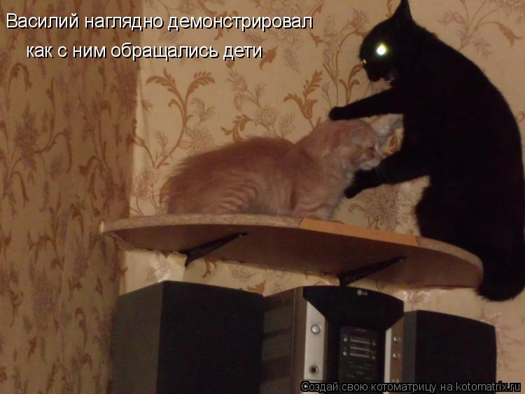 Василий наглядно демонстрировал как с ним обращались дети... Котоматрица: Василий наглядно демонстрировал как с ним обращались дети