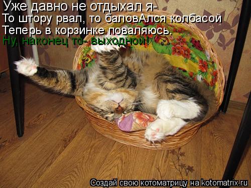 Котоматрица: Уже давно не отдыхал я- То штору рвал, то баловАлся колбасой Теперь в корзинке поваляюсь. Ну, наконец то- выходной!