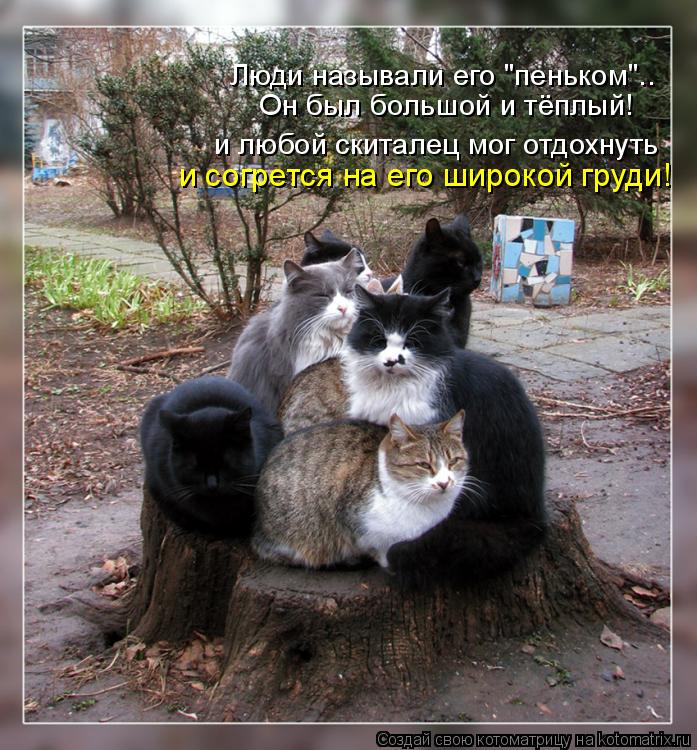 Люди называли его "пеньком".. Он был большой и тёплый! и любой скиталец мог отдохнуть и согрется на ... Котоматрица: Люди называли его "пеньком".. Он был большой и тёплый! и любой скиталец мог отдохнуть и согрется на его широкой груди!