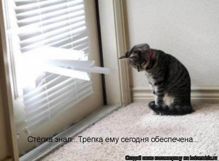 Стёпка знал...Трёпка ему сегодня обеспечена...... Котоматрица: Стёпка знал...Трёпка ему сегодня обеспечена...