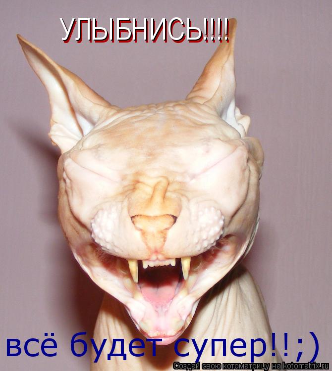 всё будет супер!!;) УЛЫБНИСЬ!!!! УЛЫБНИСЬ!!!!... Котоматрица: всё будет супер!!;) УЛЫБНИСЬ!!!! УЛЫБНИСЬ!!!!