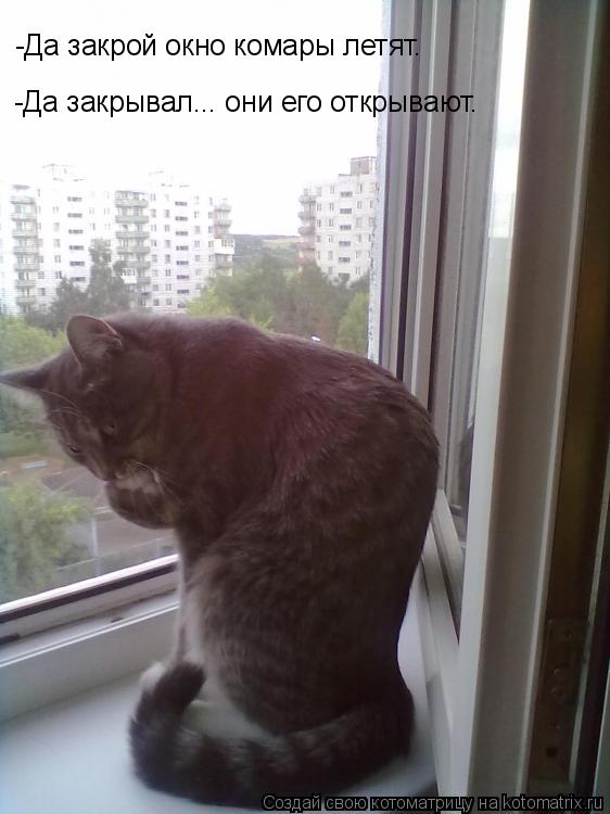 -Да закрой окно комары летят. -Да закрывал... они его открывают.... Котоматрица: -Да закрой окно комары летят. -Да закрывал... они его открывают.