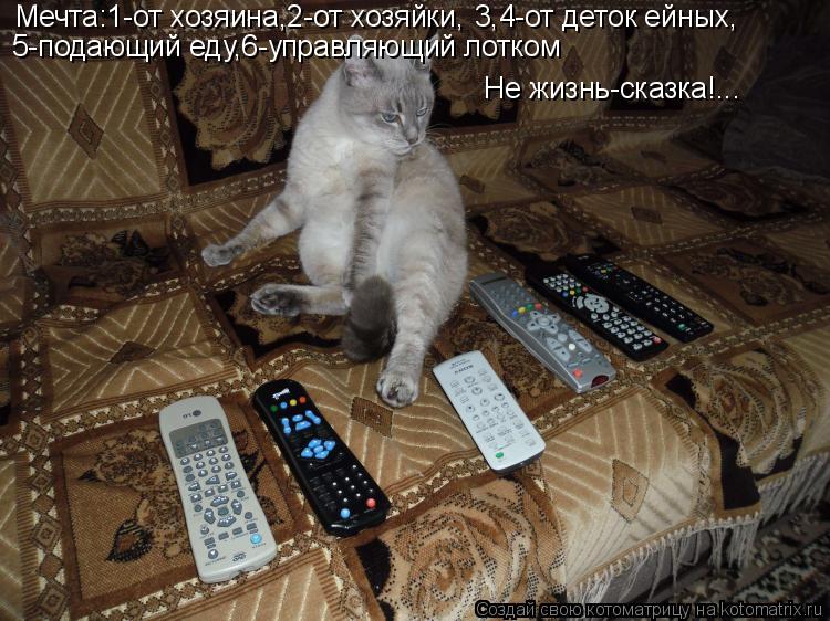 Мечта:1-от хозяина,2-от хозяйки, 3,4-от деток ейных, 5-подающий еду,6-управляющий лотком Не жизнь-ска... Котоматрица: Мечта:1-от хозяина,2-от хозяйки, 3,4-от деток ейных, 5-подающий еду,6-управляющий лотком Не жизнь-сказка!...