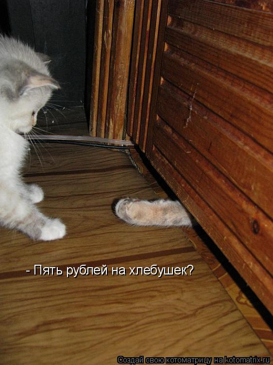 - Пять рублей на хлебушек?... Котоматрица: - Пять рублей на хлебушек?