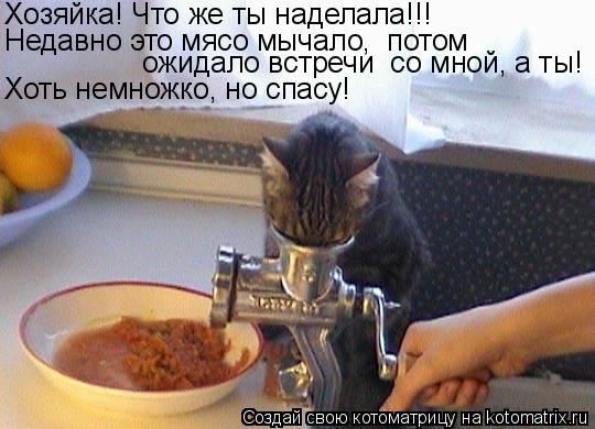 Котоматрица: Хозяйка! Что же ты наделала!!! Недавно это мясо мычало,  потом ожидало встречи  со мной, а ты! Хоть немножко, но спасу!