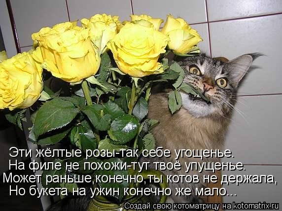 Эти жёлтые розы-так себе угощенье. На филе не похожи-тут твоё упущенье. Может раньше,конечно,ты котов... Котоматрица: Эти жёлтые розы-так себе угощенье. На филе не похожи-тут твоё упущенье. Может раньше,конечно,ты котов не держала, Но букета на ужин конечно ж