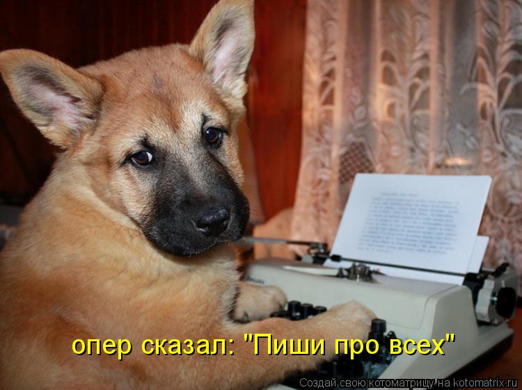 опер сказал: "Пиши про всех"... Котоматрица: опер сказал: "Пиши про всех"