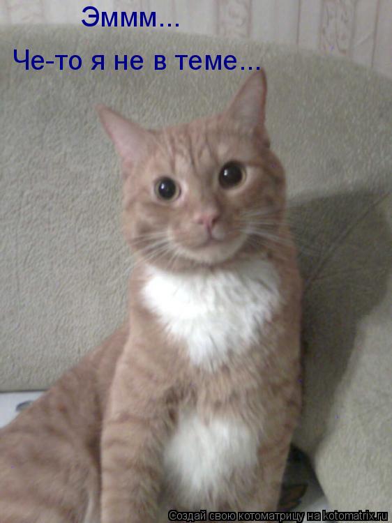 Че-то я не в теме... Эммм...... Котоматрица: Че-то я не в теме... Эммм...