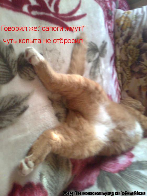 Говорил же:"сапоги жмут!" чуть копыта не отбросил... Котоматрица: Говорил же:"сапоги жмут!" чуть копыта не отбросил
