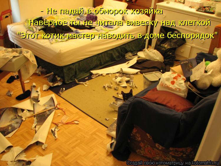 - Не падай в обморок хозяйка Наверное ты не читала вивеску над клеткой "Этот котик мастер наводить в ... Котоматрица: - Не падай в обморок хозяйка Наверное ты не читала вивеску над клеткой "Этот котик мастер наводить в доме беспорядок"