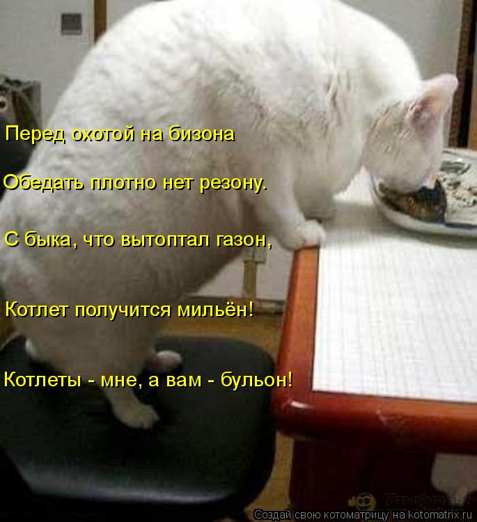 Обедать плотно нет резону. Перед охотой на бизона С быка, что вытоптал газон, Котлет получится мильё... Котоматрица: Обедать плотно нет резону. Перед охотой на бизона С быка, что вытоптал газон, Котлет получится мильён! Котлеты - мне, а вам - бульон!