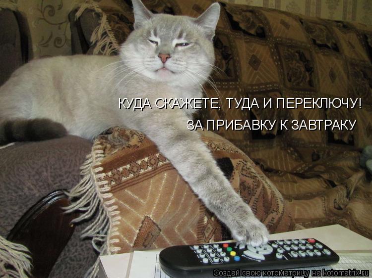 КУДА СКАЖЕТЕ, ТУДА И ПЕРЕКЛЮЧУ! ЗА ПРИБАВКУ К ЗАВТРАКУ... Котоматрица: КУДА СКАЖЕТЕ, ТУДА И ПЕРЕКЛЮЧУ! ЗА ПРИБАВКУ К ЗАВТРАКУ