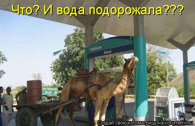 Что? И вода подорожала???... Котоматрица: Что? И вода подорожала???