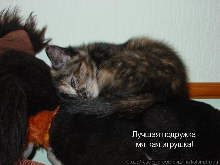Лучшая подружка - мягкая игрушка!... Котоматрица: Лучшая подружка - мягкая игрушка!
