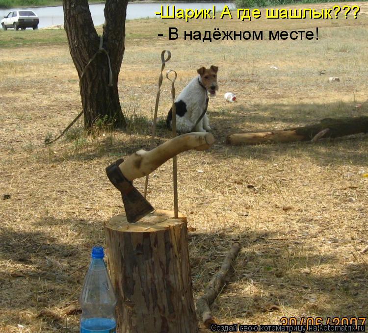 -Шарик! А где шашлык??? - В надёжном месте!... Котоматрица: -Шарик! А где шашлык??? - В надёжном месте!