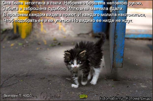 Она была затоптана в пыли, Небрежно брошена неловкою рукою, Забыта и заброшена судьбою Иллюзией маячи... Котоматрица: Она была затоптана в пыли, Небрежно брошена неловкою рукою, Забыта и заброшена судьбою Иллюзией маячила вдали… В прохожем каждом видела п