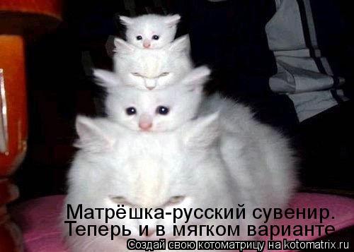 Теперь и в мягком варианте. Матрёшка-русский сувенир.... Котоматрица: Теперь и в мягком варианте. Матрёшка-русский сувенир.